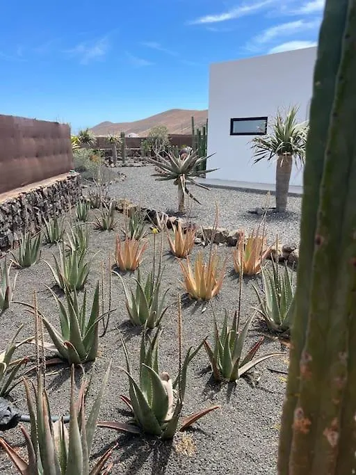 Bungalow + Piscina Independiente لا أوليفا فيلة